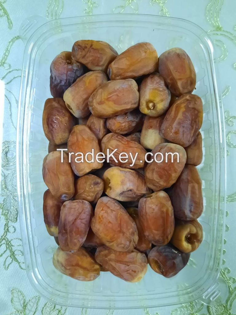 Fresh Dates, Semi dry dates, dried dates