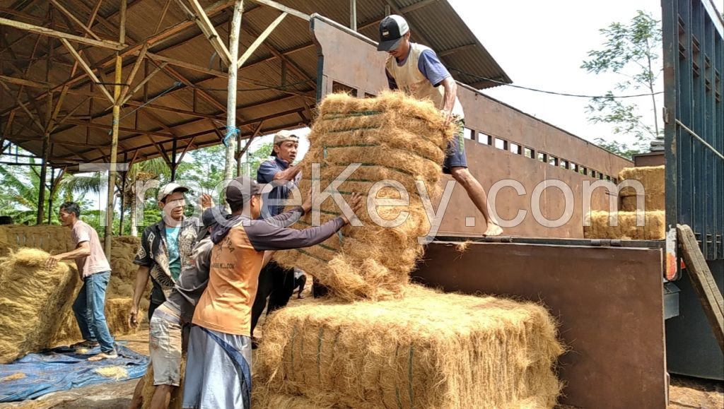 cocofiber or coir