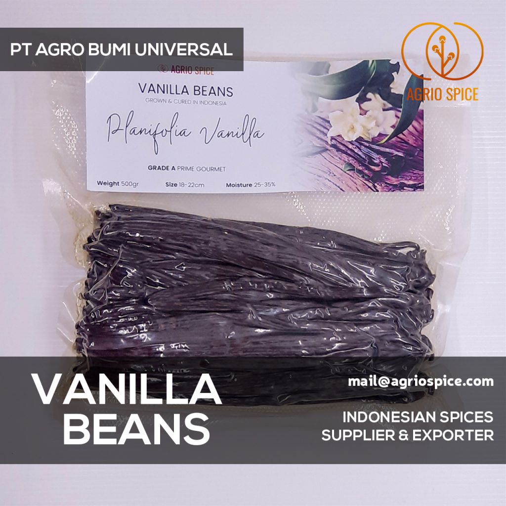 Vanilla Beans - Vanilla Planifolia Indonesian Best Vanilla Pods