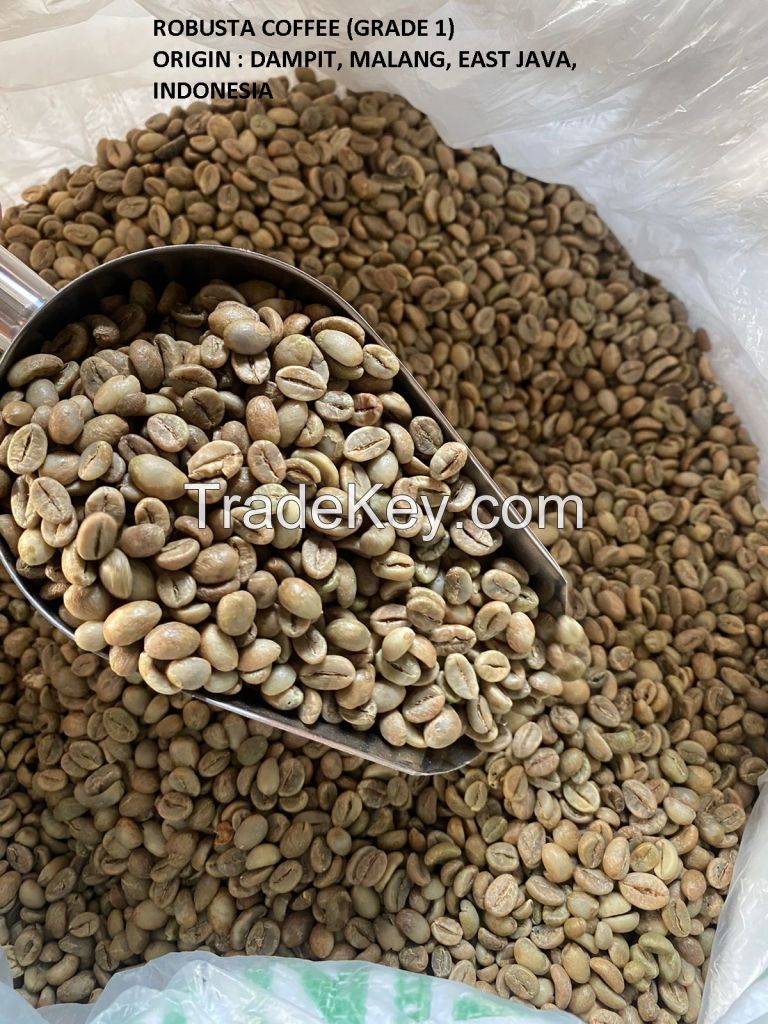 INDONESIA ARABICA and ROBUSTA COFFEE BEANS