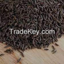 Black Cumin