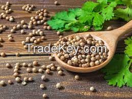 Coriander Seed