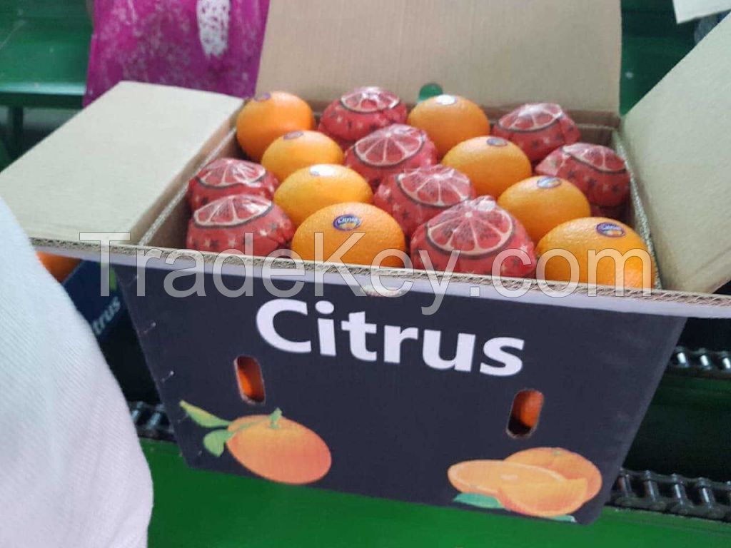 FRESH CITRUS FRUITS |ORANGES | LEMONS | APPLE |BANANA