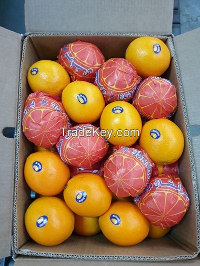 FRESH CITRUS FRUITS |ORANGES | LEMONS | APPLE |BANANA