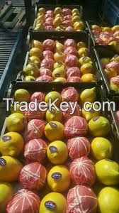 FRESH CITRUS FRUITS |ORANGES | LEMONS | APPLE |BANANA