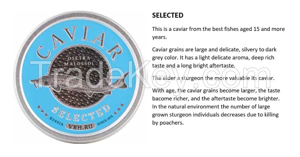 Black sturgeon caviar