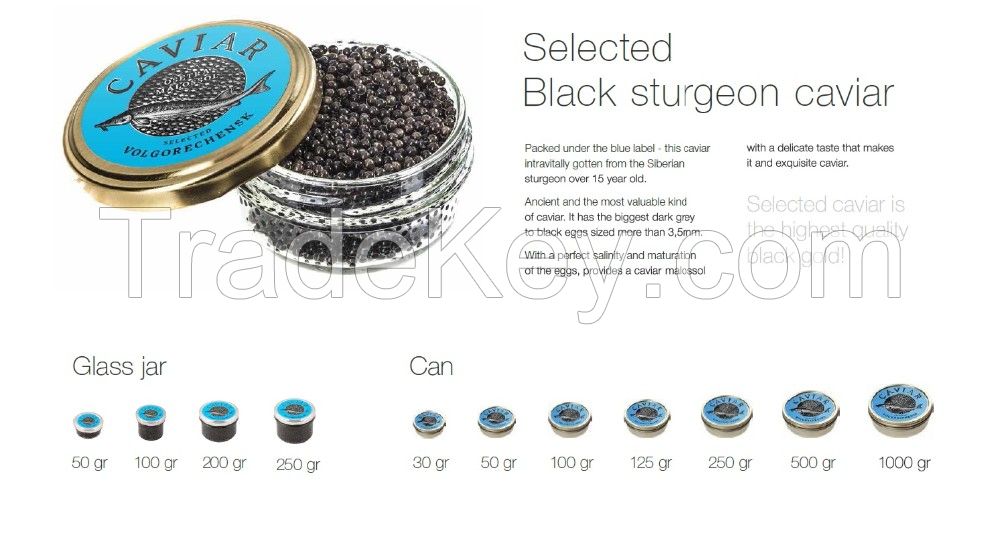 Black sturgeon caviar