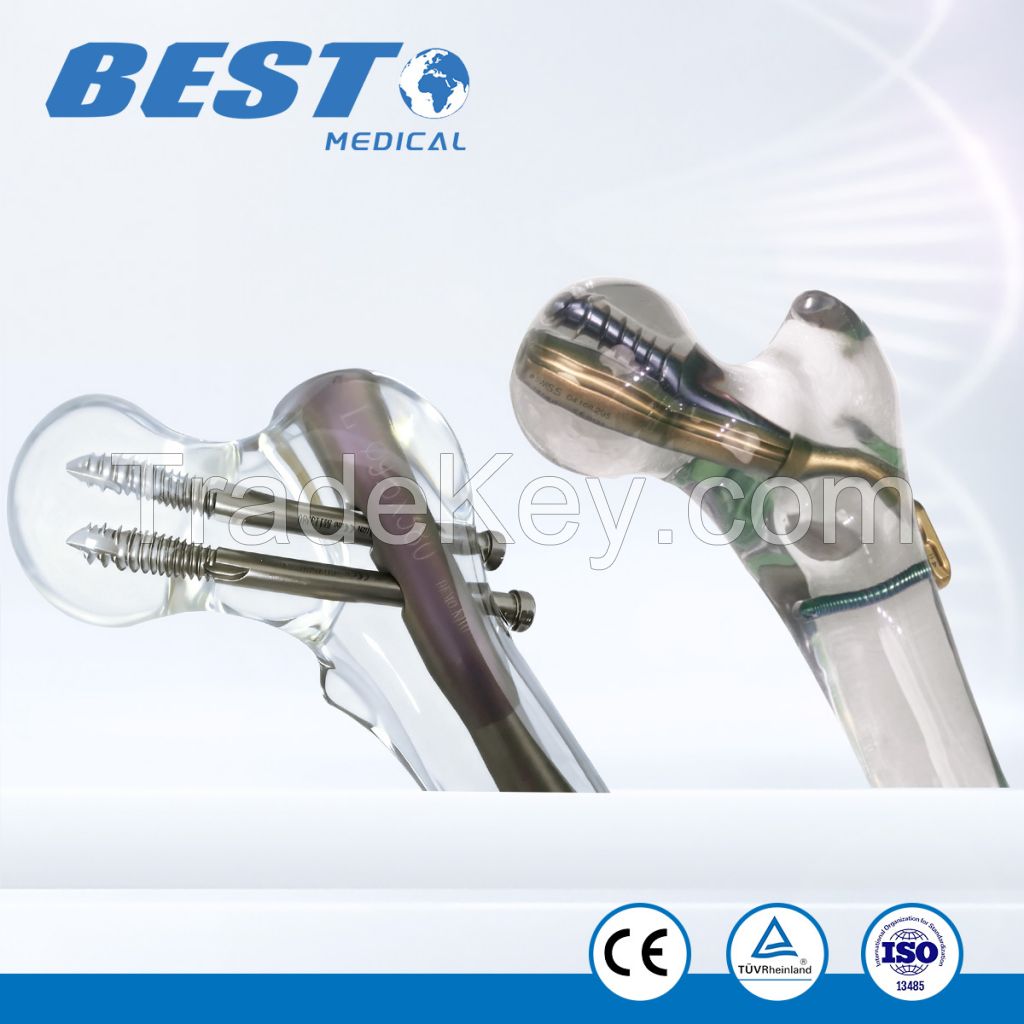 Transparent Clear Resin Femoral &amp;amp;amp; Tibial Bones Model with Locking Plates and Nails