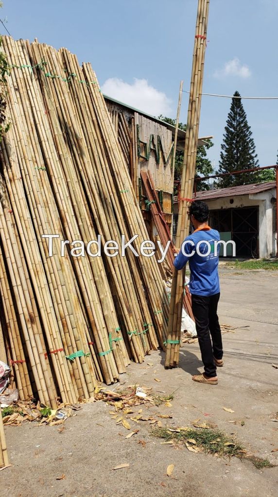 Solid dried bamboo poles for gardening and construction from Vietnam