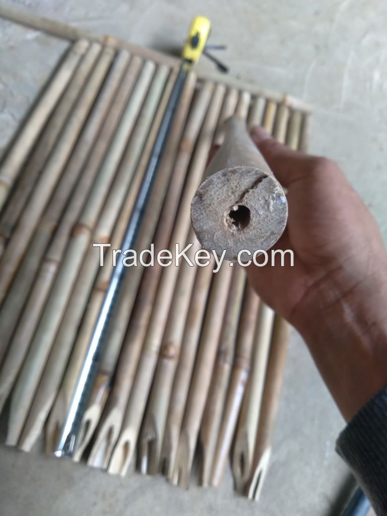 Solid dried bamboo poles for gardening and construction from Vietnam