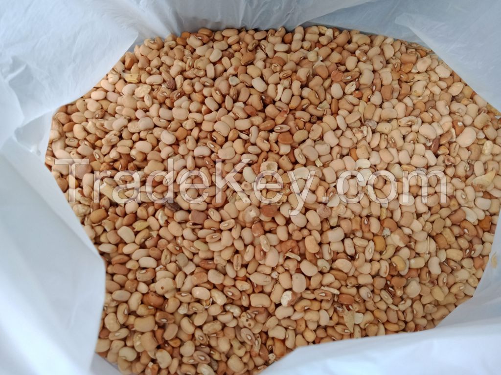 Brown Beans also known as the Honey Beans - Oloyin