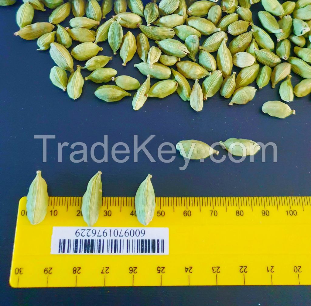 Green Cardamom Natural Best Quality Fresh Elachi Spice bulk green cardamom dry Best cardamom price