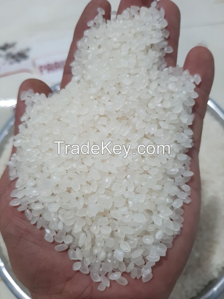 JAPONICA ROUND RICE (SUSHI RICE/ JAPANESE RICE)/ WA: +84352310575