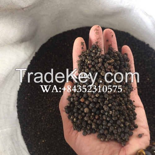 BLACK PEPPER HIGH QUALITY AND COMPETITIVE PRICE/ KATE +84352310575