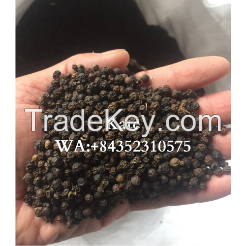 BLACK PEPPER HIGH QUALITY AND COMPETITIVE PRICE/ KATE +84352310575