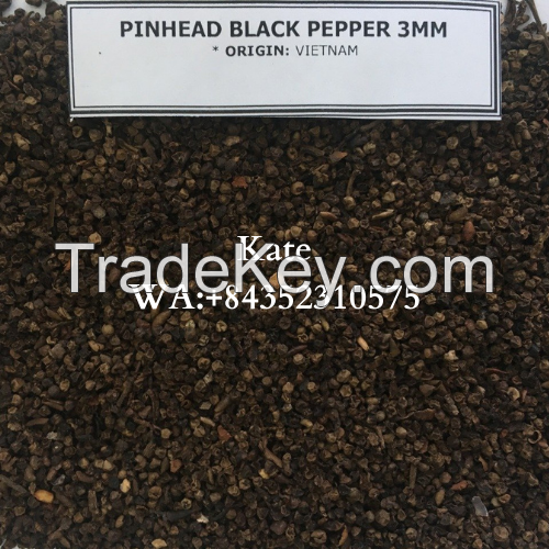 BLACK PEPPER HIGH QUALITY AND COMPETITIVE PRICE/ KATE +84352310575