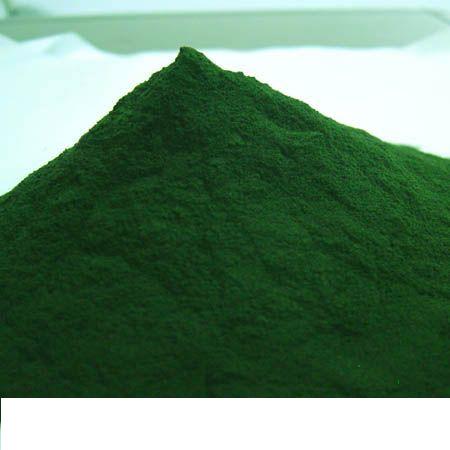 Spirulina Powder