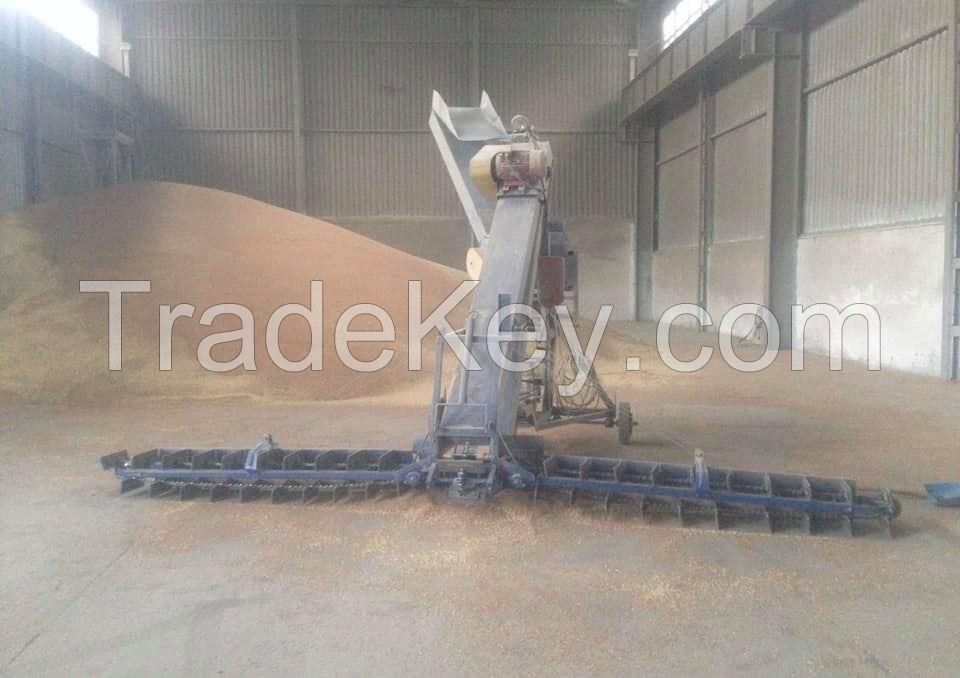 Milling wheat 11.5% Ukraine origin containers shipment