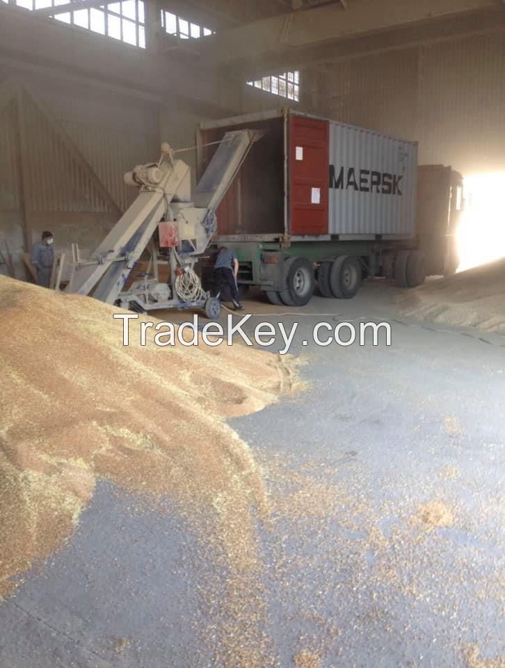 Milling wheat 11.5% Ukraine origin containers shipment