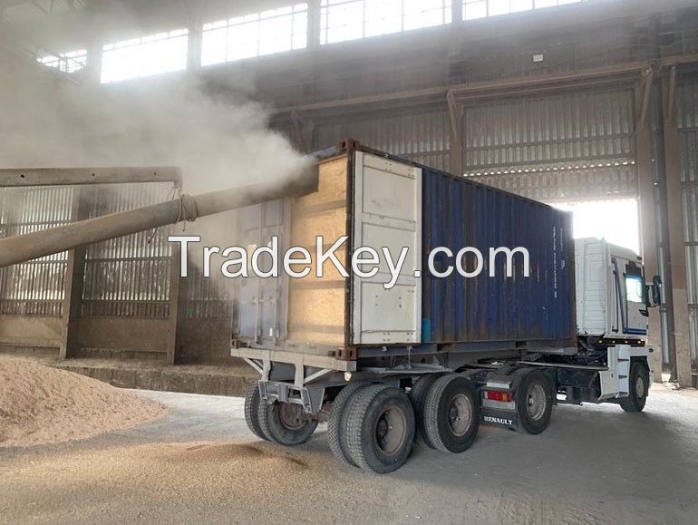 Milling wheat 11.5% Ukraine origin containers shipment