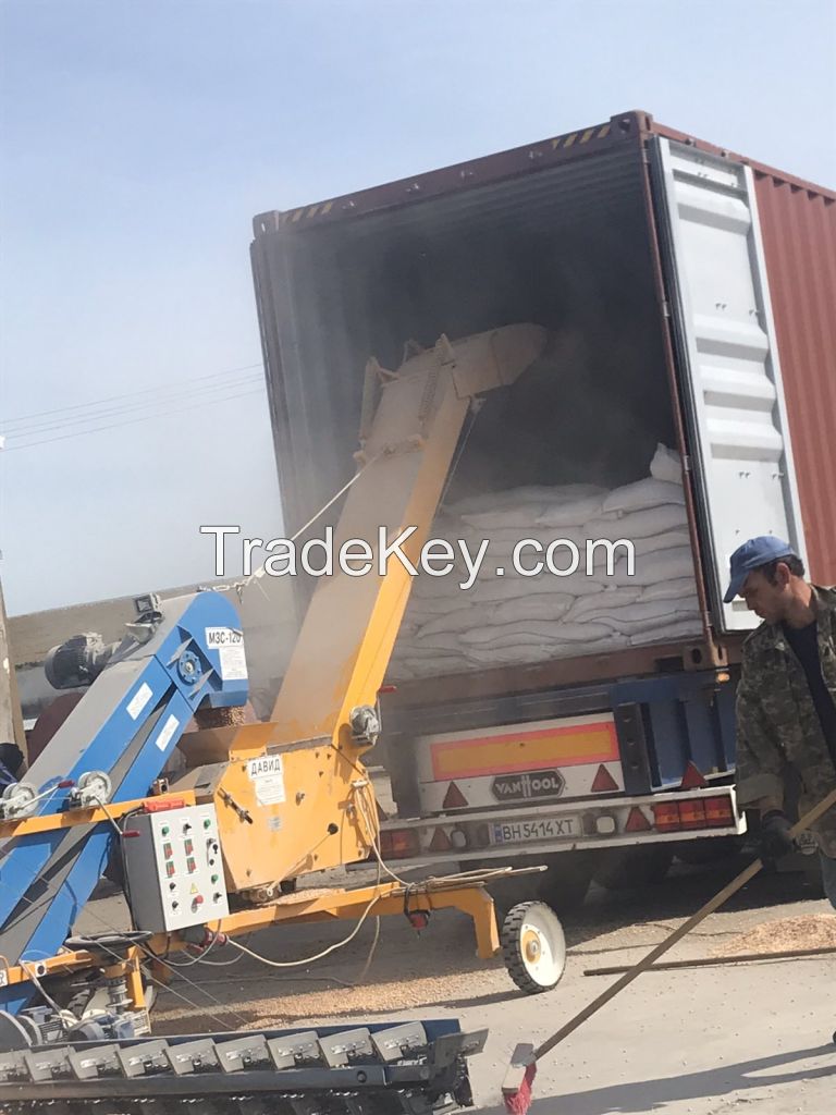 Yellow corn Ukraine origin containers shipment