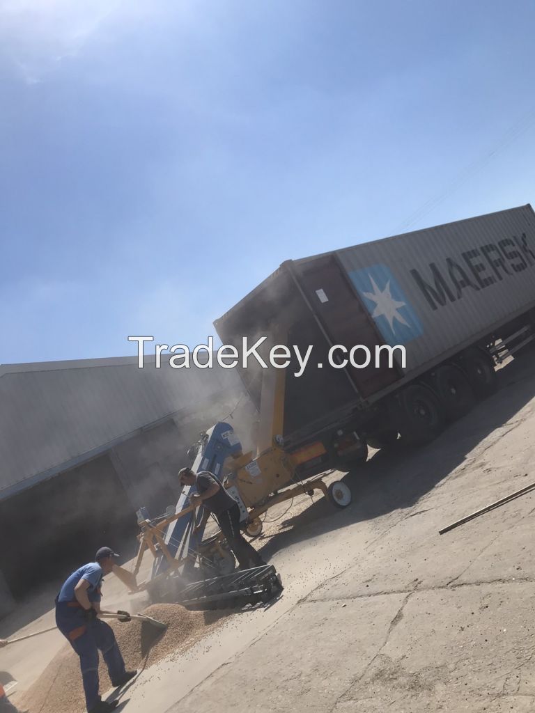 Yellow corn Ukraine origin containers shipment