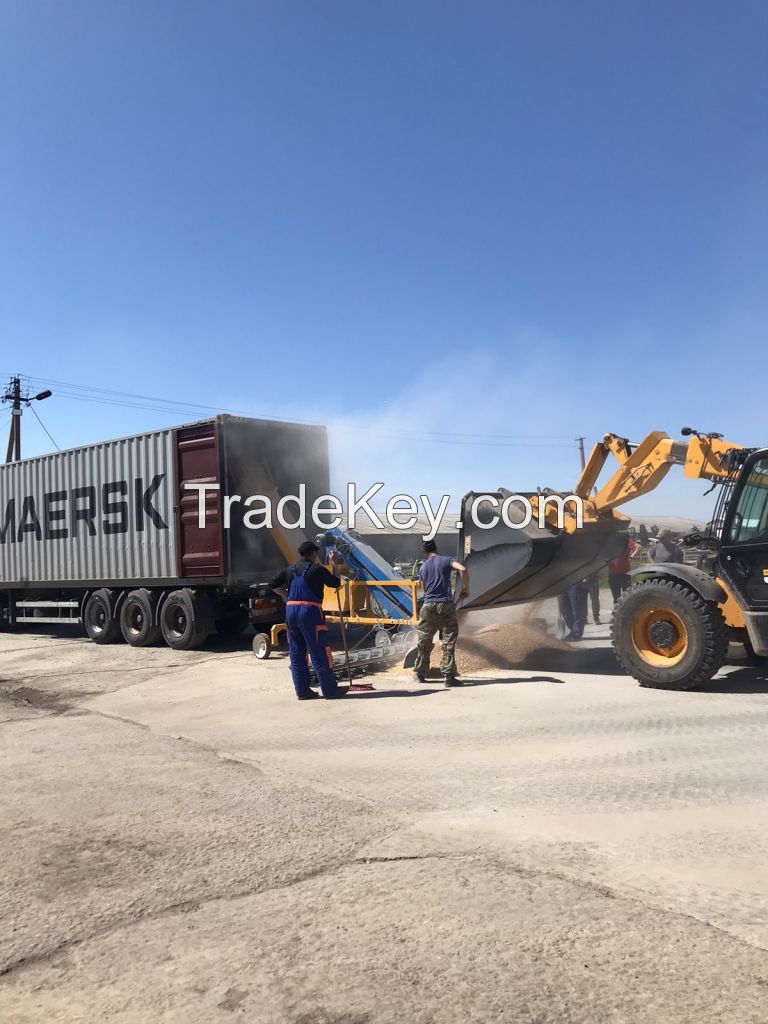 Barley Ukraine origin containers shipment