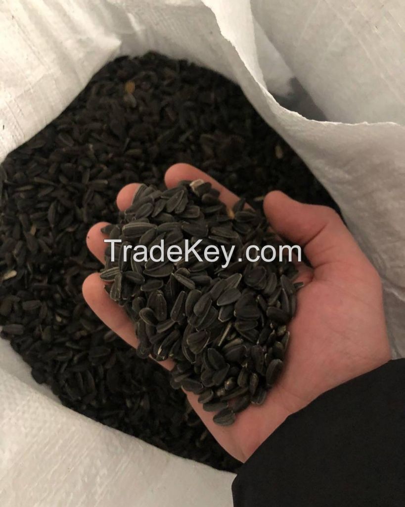 Sunflower seeds for confectionary LAKOMKA