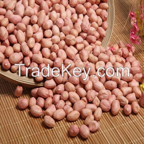 Wholesale Raw Packaging Packing Jumbo Peanuts Price Machine Peeling Peanut Free Peanuts