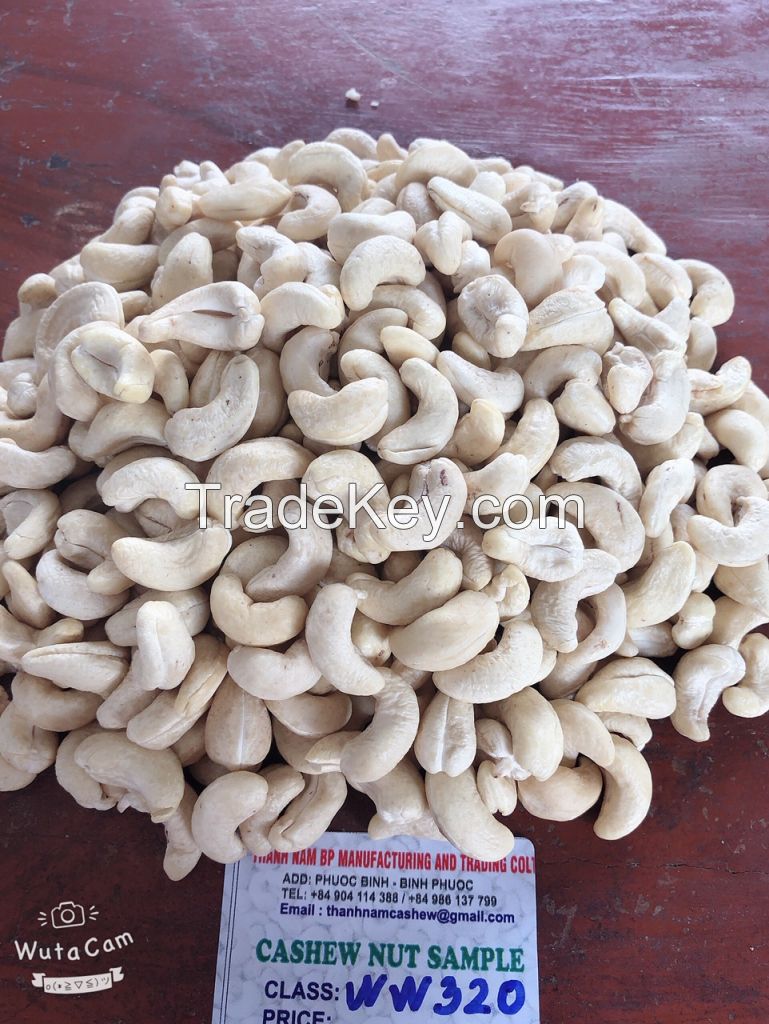 Cashew Kernel 