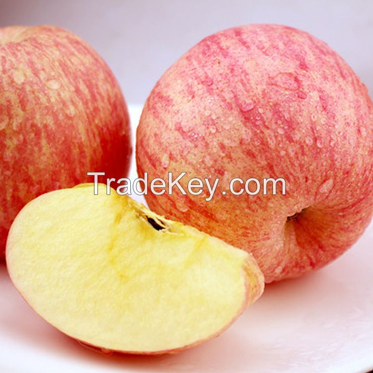 New crop of fresh red fuji apple fruit red star apple and red delicious apples fresh price for wholesale