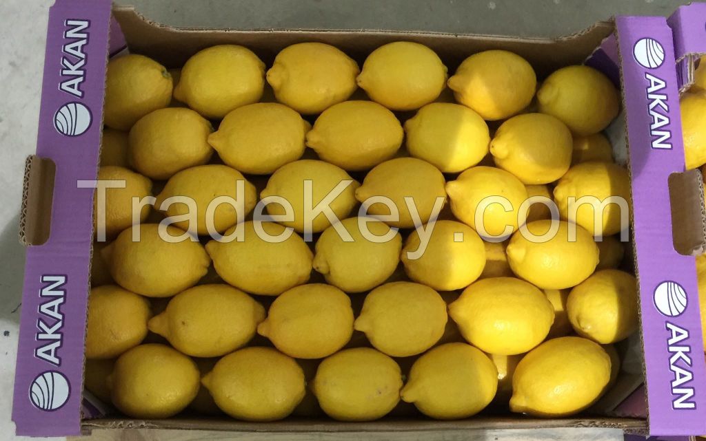 Fresh Yellow Eureka lemons