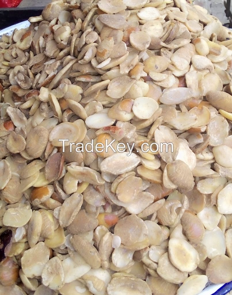 Ogbono seeds (Irvingia Gabonensis)