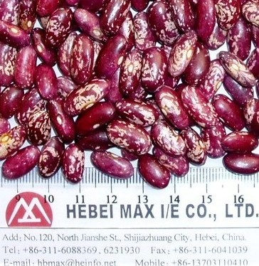 Sell Red Speckled Kidney Beans