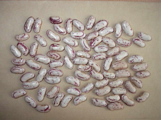 Sell Light Speckled Kidney Beans And White Beans