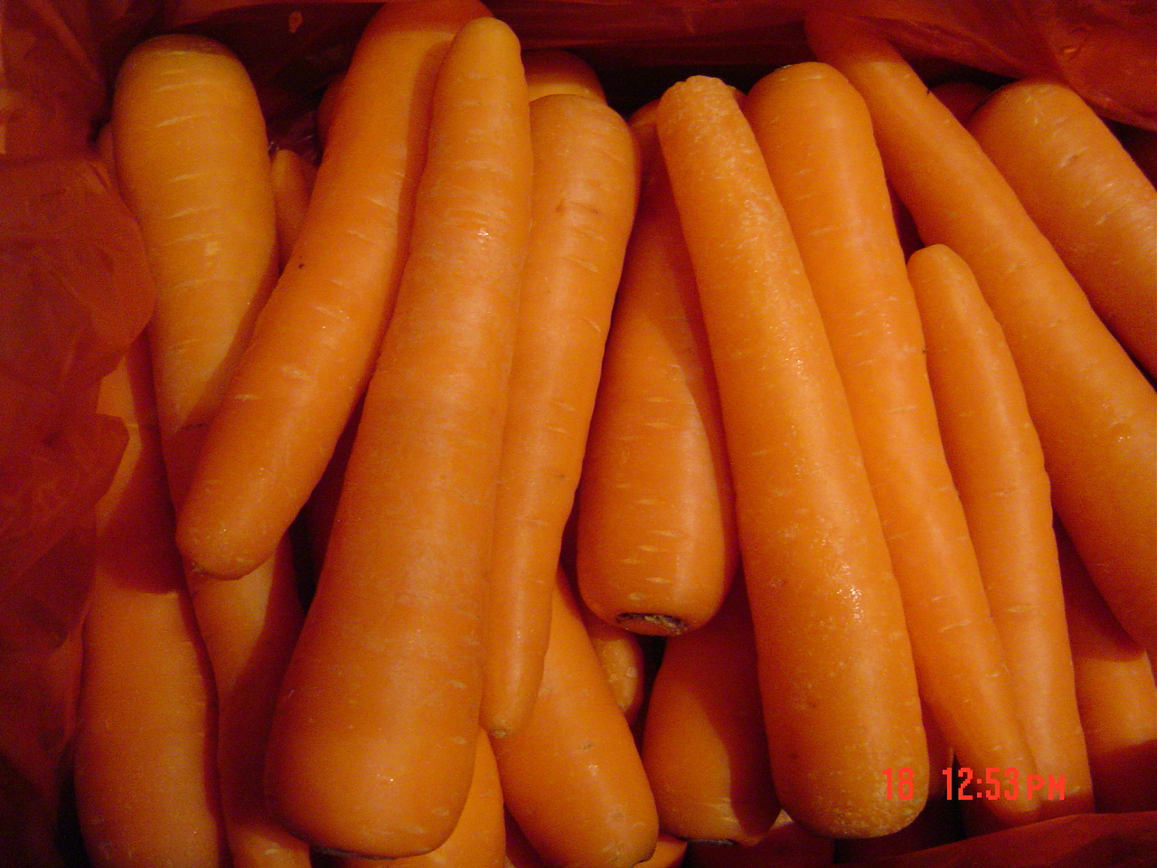 Sell Fresh Carrot