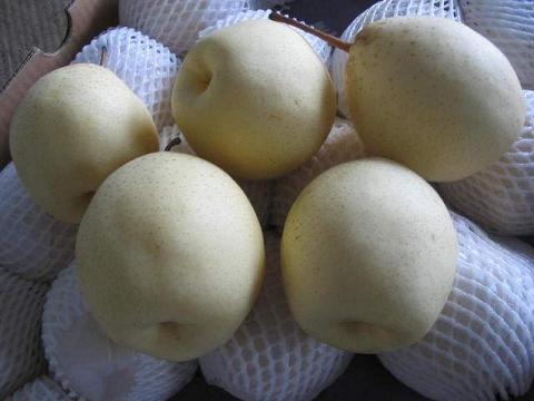 Sell Fresh Pears