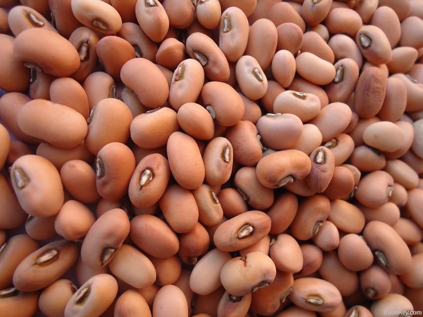 Sell Pink cowpeas (2011Crop)