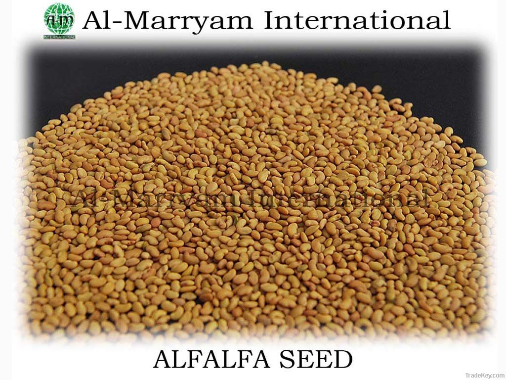 Sell Alfalfa Seed