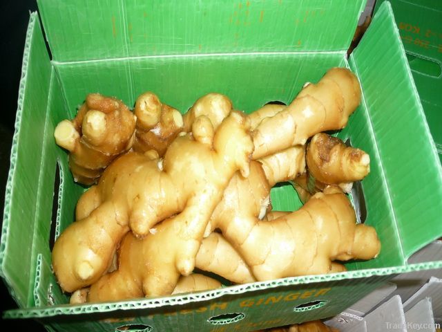 Sell fresh ginger, dry ginger