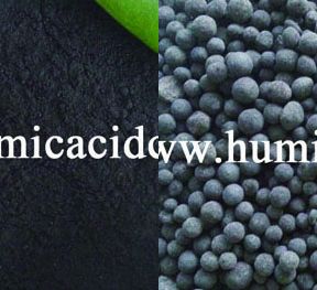 Sell HUMIC ACID POWDER AND GRANULE FROM NATURAL LEONARDITE MINE 