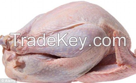 Sell Frozen Halal Turkey Wings, Turkey drumsticks