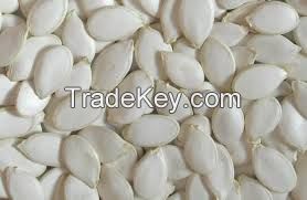 Sell Quality Snow White Pumpkin Seeds