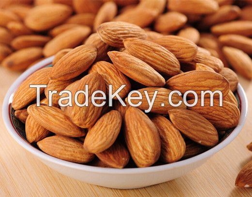 Sell 100% Dried Apricot kernels / Sweet / Bitter Apricot kernels