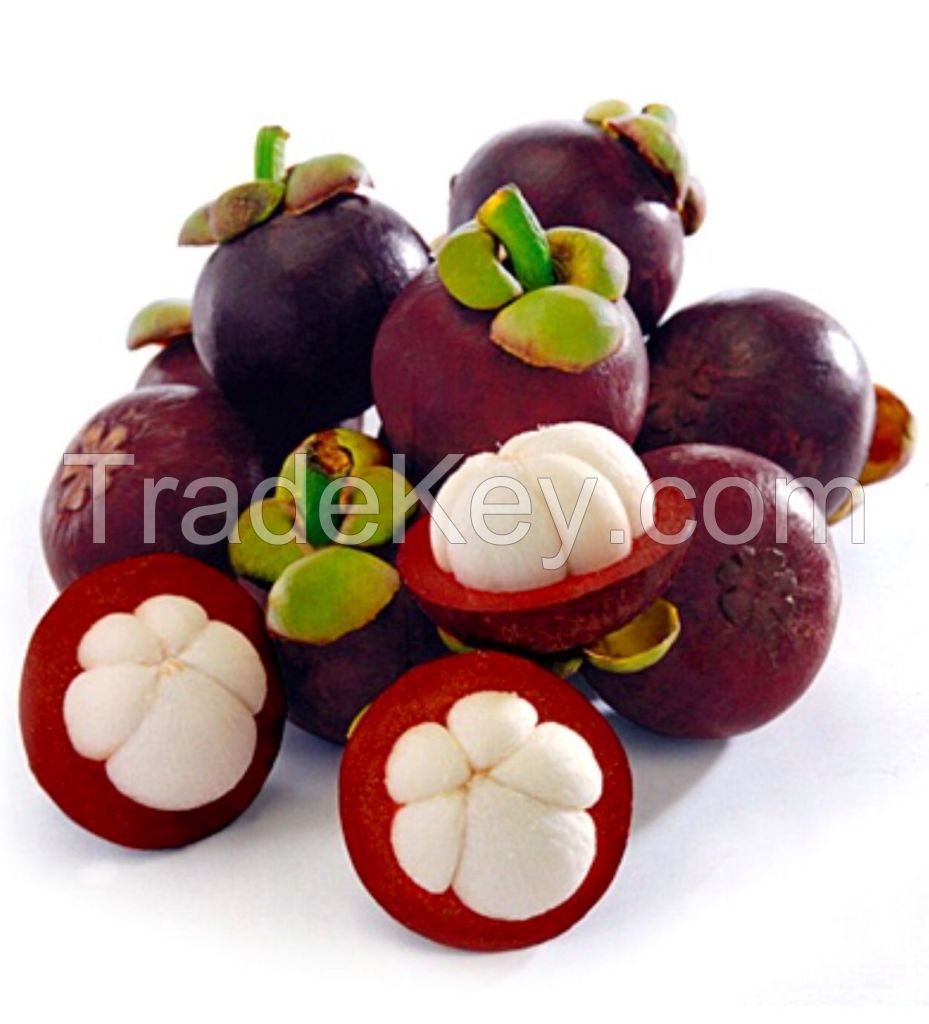 Sell  Mangosteen Fruit 