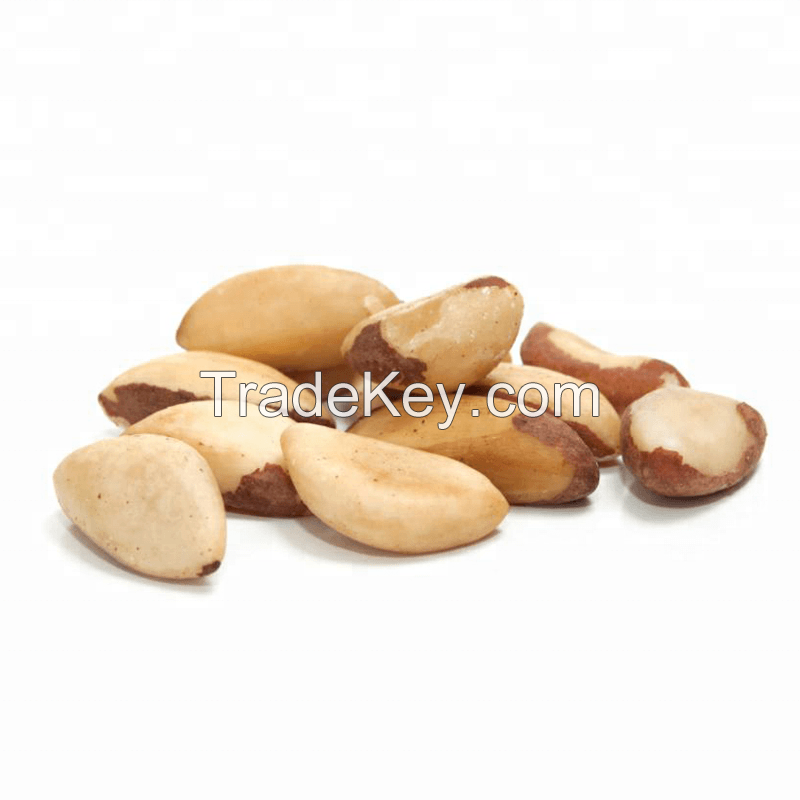 Sell Top Grade  Brazil nuts 