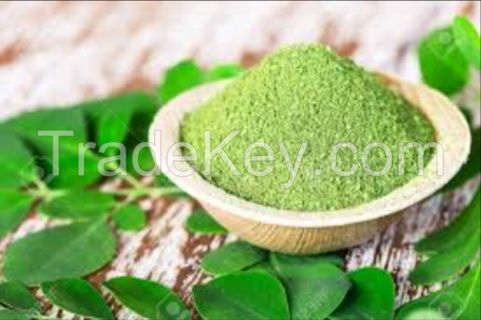 Sell Moringa