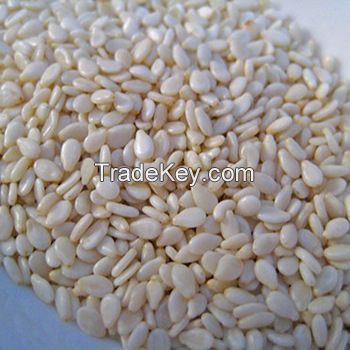 Sell  Wholesales Raw White Hulled Sesame seeds