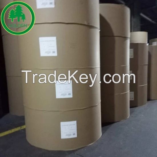 Hot Sale 190-350g Uncoated/Light Coating Cupstock Base Paper/Cup Paper