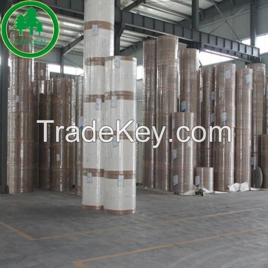 Food Grade Paper Board with Single or Double PE Coated Cup Stock Board